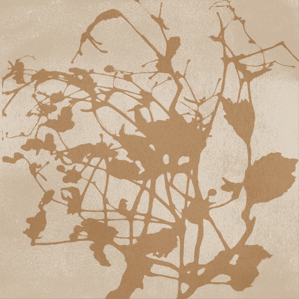 Earthy Botanical Silhouette by Dina Dankers — canvas wall art
