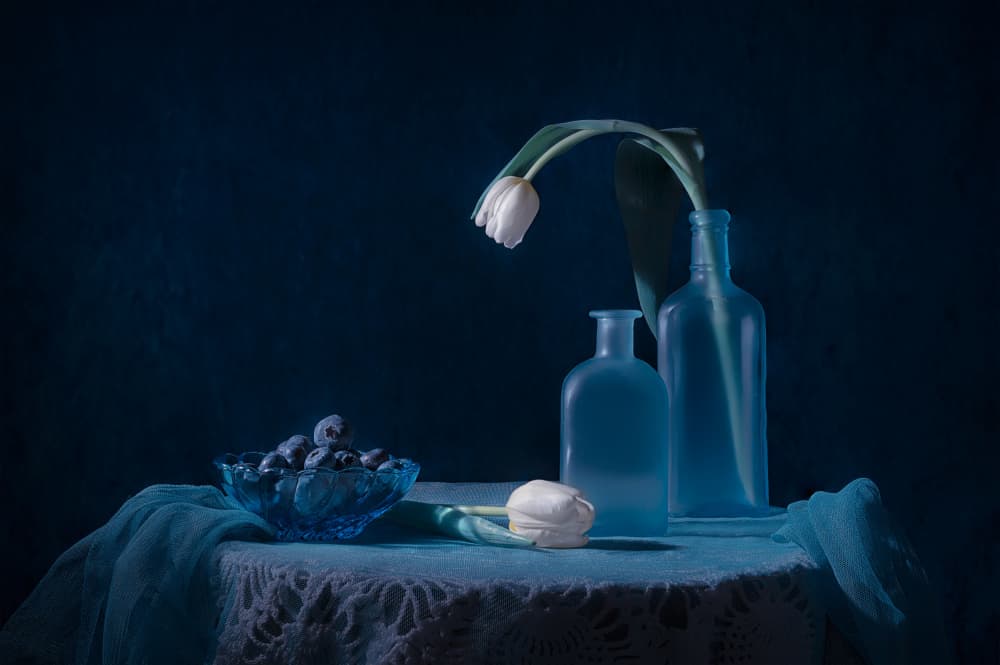 Elegant Blue Still Life by Lydia Jacobs — canvas wall art