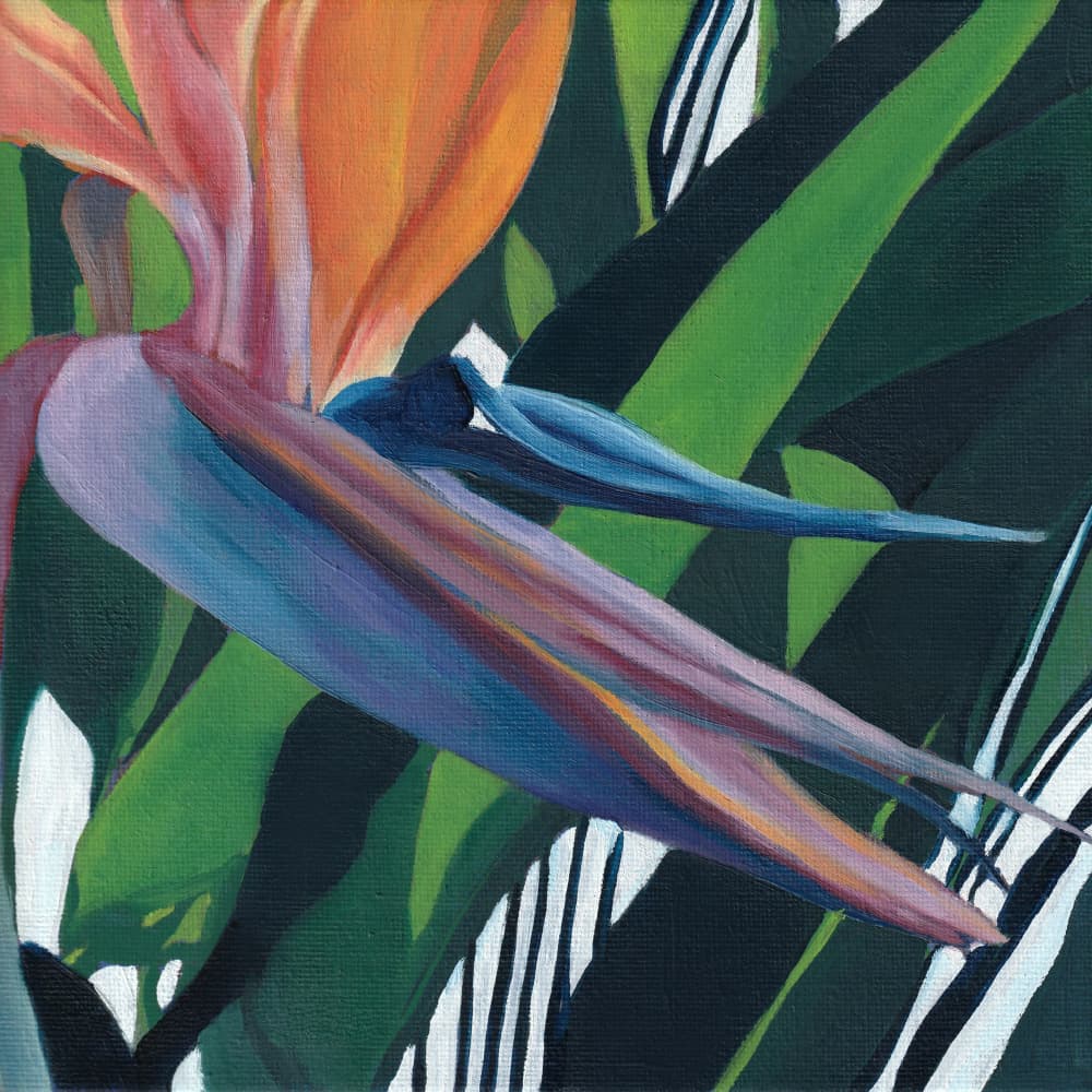 Vibrant Bird of Paradise by Viccy Wanliss — canvas wall art