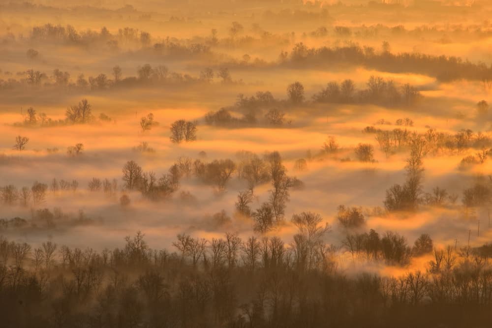 Golden Misty Morning by Joško Šimic — canvas wall art