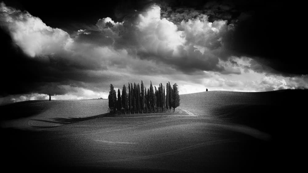 Dramatic Cypress Hills by Claudio Moretti — canvas wall art