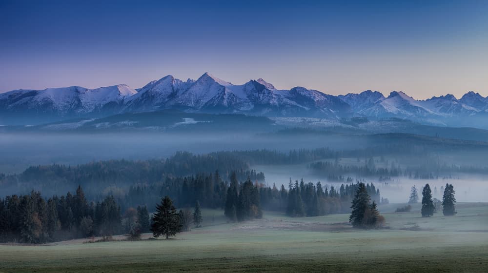 Misty Mountain Morning by Peter Svoboda MQEP — canvas wall art