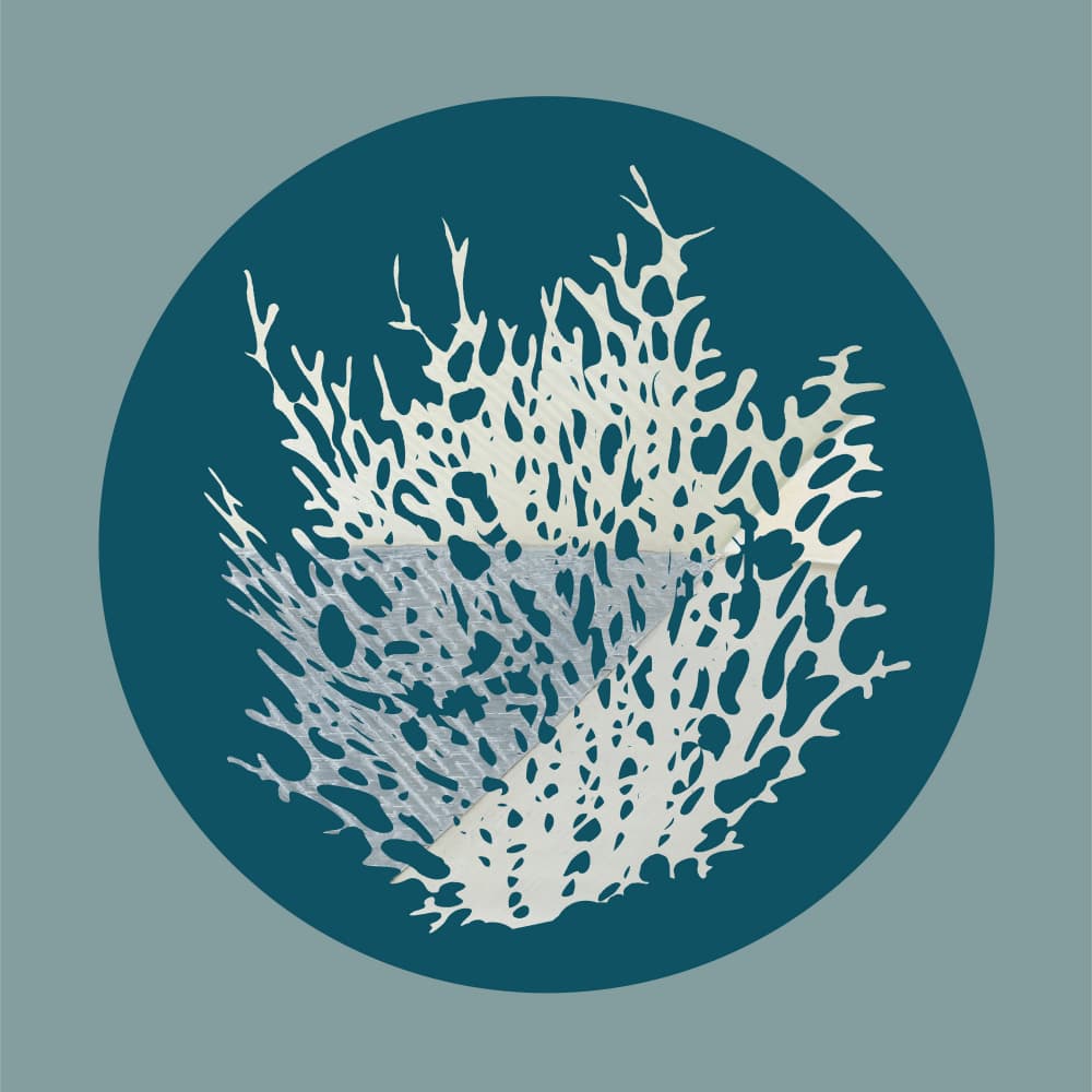 Delicate Ocean Coral by casa cartissi — canvas wall art