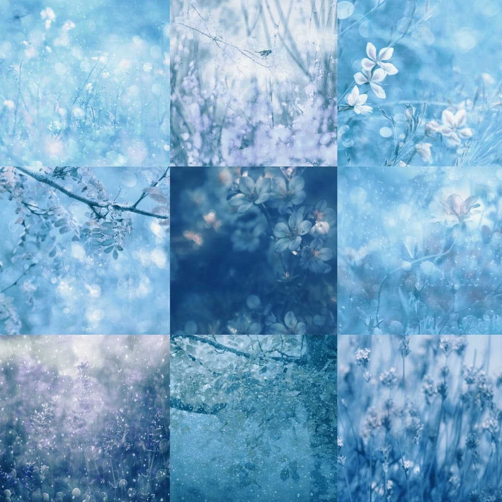 Dreamy Blue Botanicals by Delphine Devos — canvas wall art