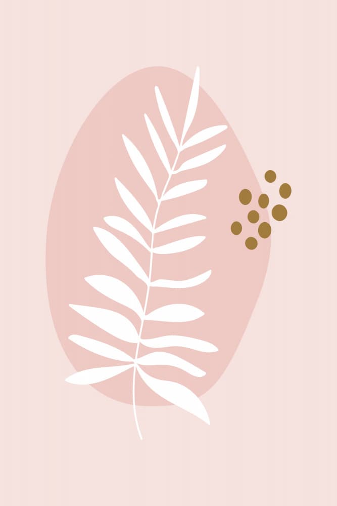 Soft Pink Botanical by Dina Dankers — canvas wall art