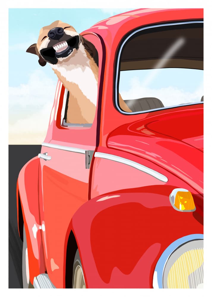 Smiling Dog Drive by ByKammille — canvas wall art