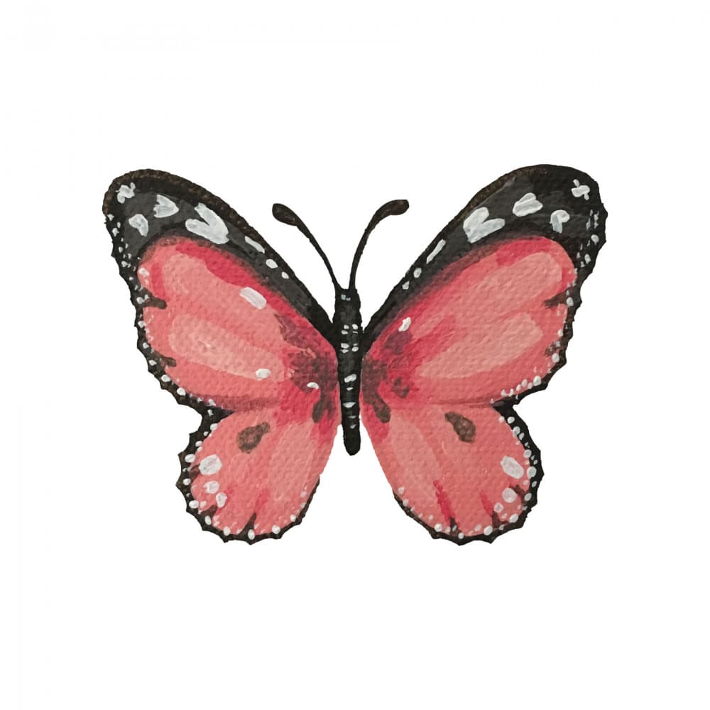 Redpap by Madison Phipps — canvas wall art