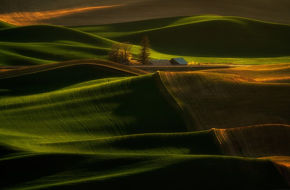 Sunlit Rolling Hills by Lydia Jacobs — canvas wall art
