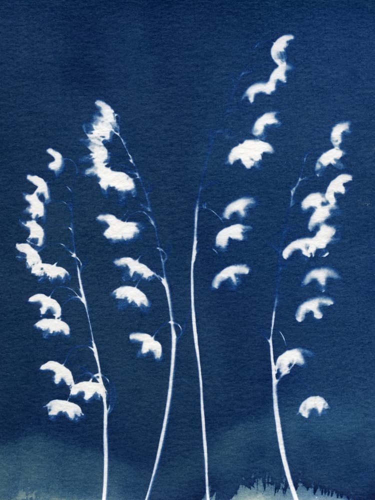 Delicate Blue Botanicals by Chickweeds Studio — canvas wall art
