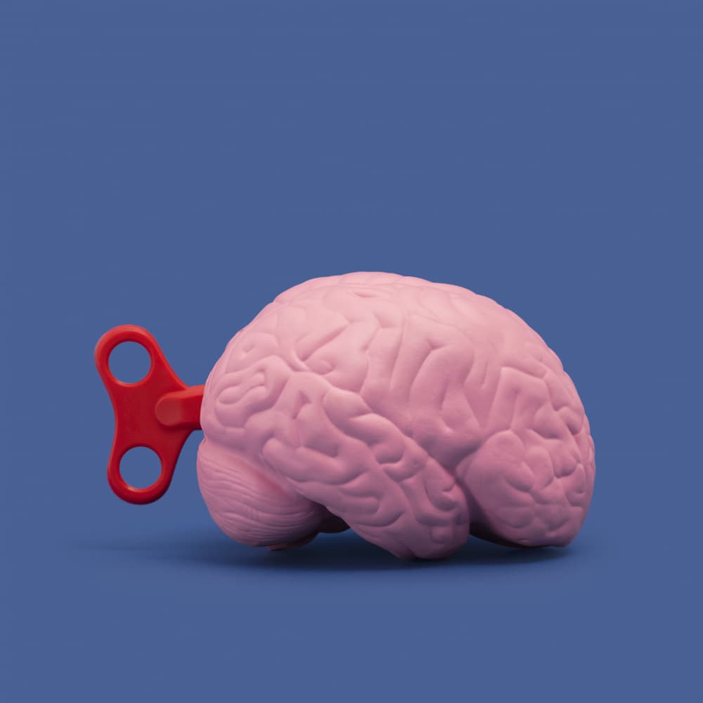 Wind-Up Brain by Julia Ramiro — canvas wall art