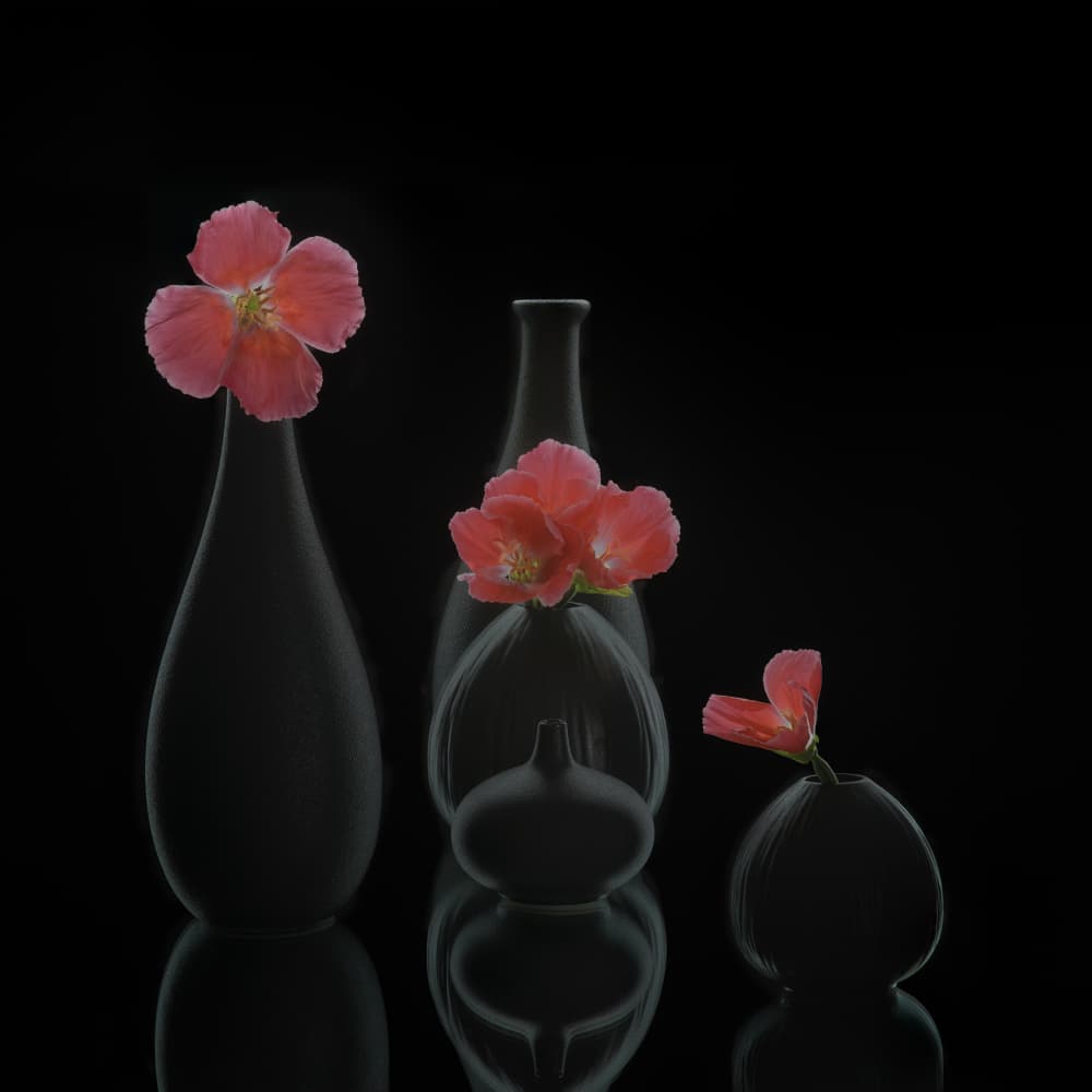 Minimalist Floral Vases by Alice Sheng — canvas wall art