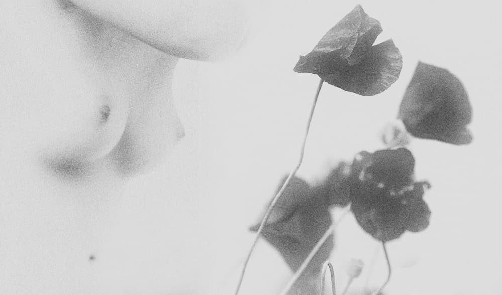 Sensual Poppies Bare Skin by Bogdan Bouşcă — canvas wall art