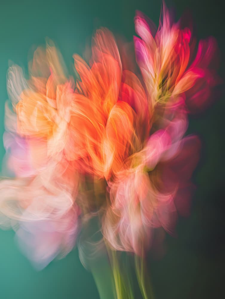 Vibrant Floral Motion by Bilge Paksoylu — canvas wall art