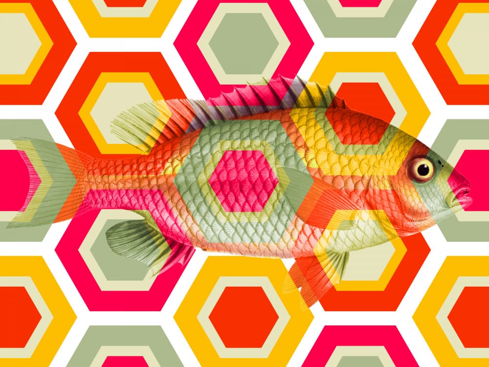 Vibrant Geometric Fish by Marja van den Hurk — canvas wall art