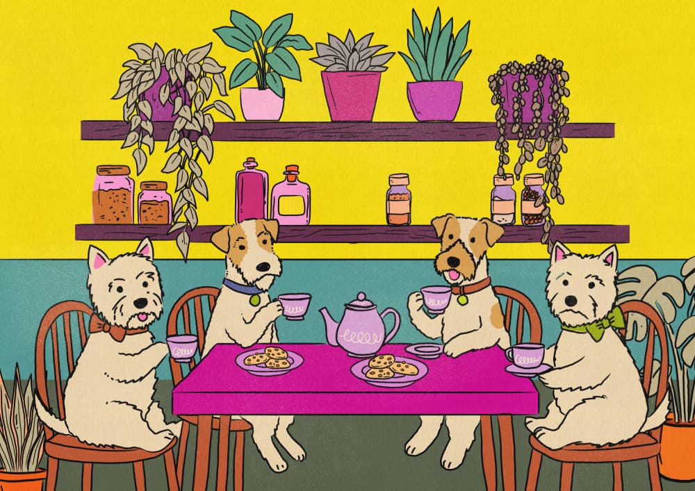Whimsical Dog Tea Party by Nicholas — canvas wall art