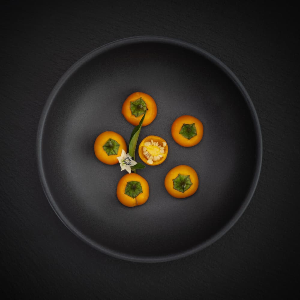Elegant Orange Fruits by FranzStaab — canvas wall art