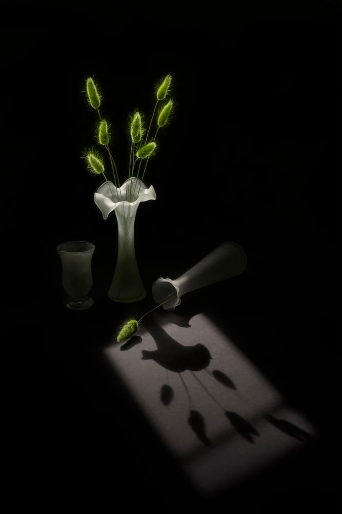 Green Plants Bird Shadow by Lydia Jacobs — canvas wall art