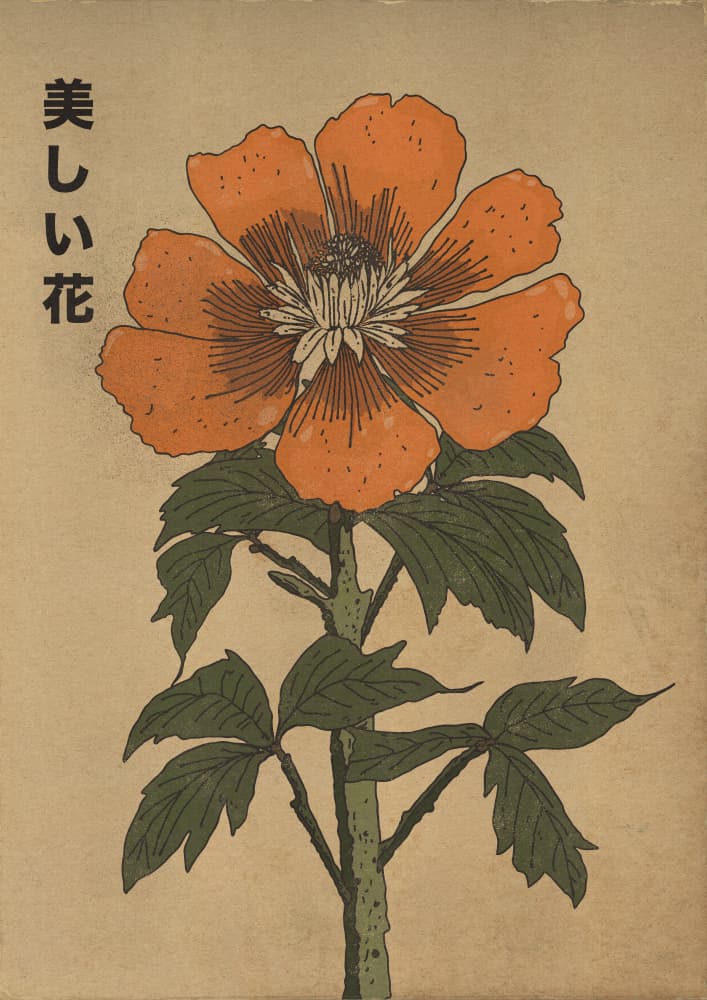Beautiful Japanese Flower