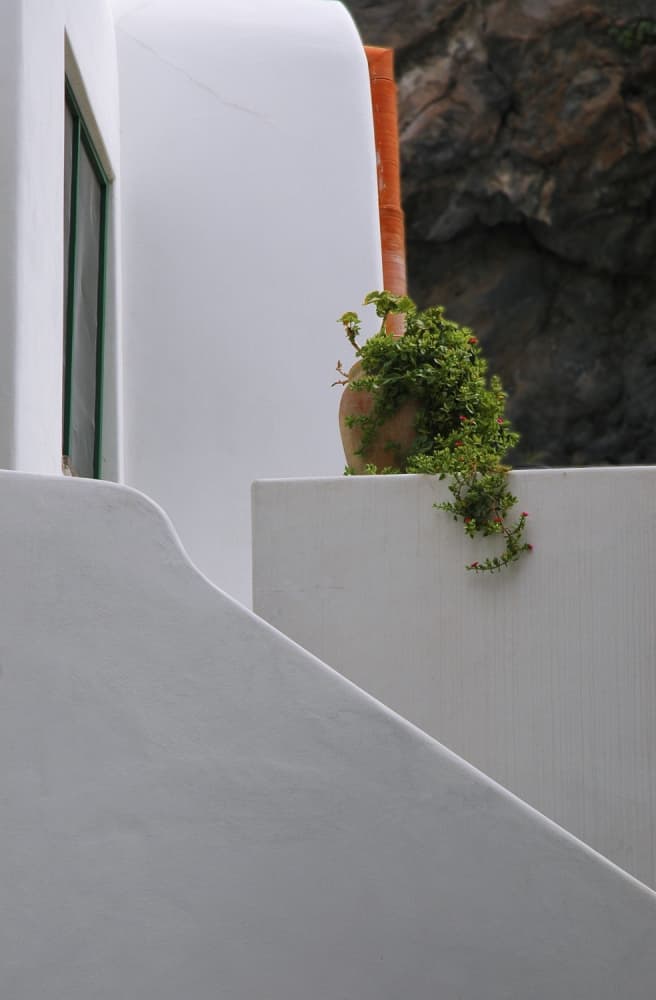 Mediterranean White Greenery by Jacek Stefan — canvas wall art