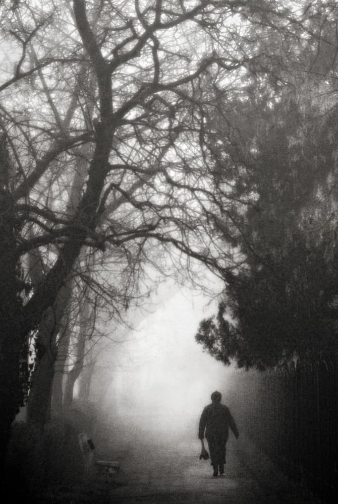 Man Walking in Fog by Nicoleta Gabor — canvas wall art