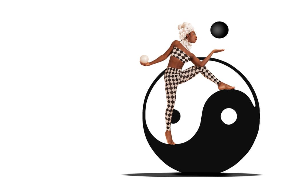Harlequin Yin Yang Balance by Christine von Diepenbroek — canvas wall art