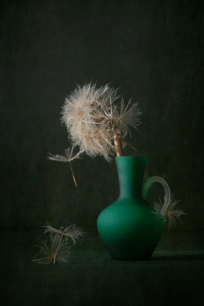 Dandelion Seeds Green Vase by Lydia Jacobs — canvas wall art