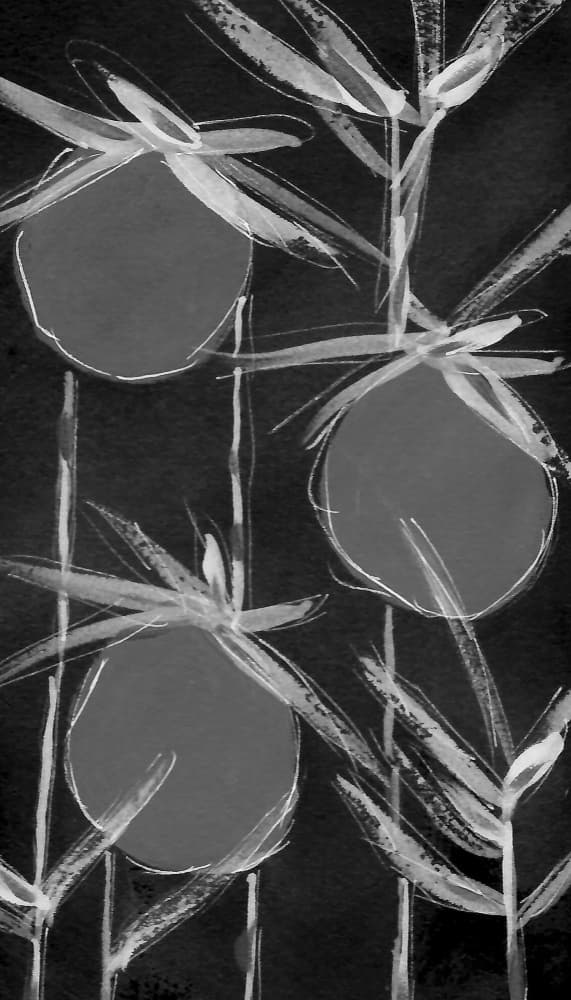 Abstract Botanical Forms by Lori Ann Folz — canvas wall art