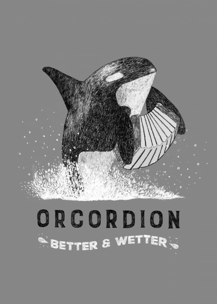 Whimsical Orca Accordion by Martina Scott — canvas wall art