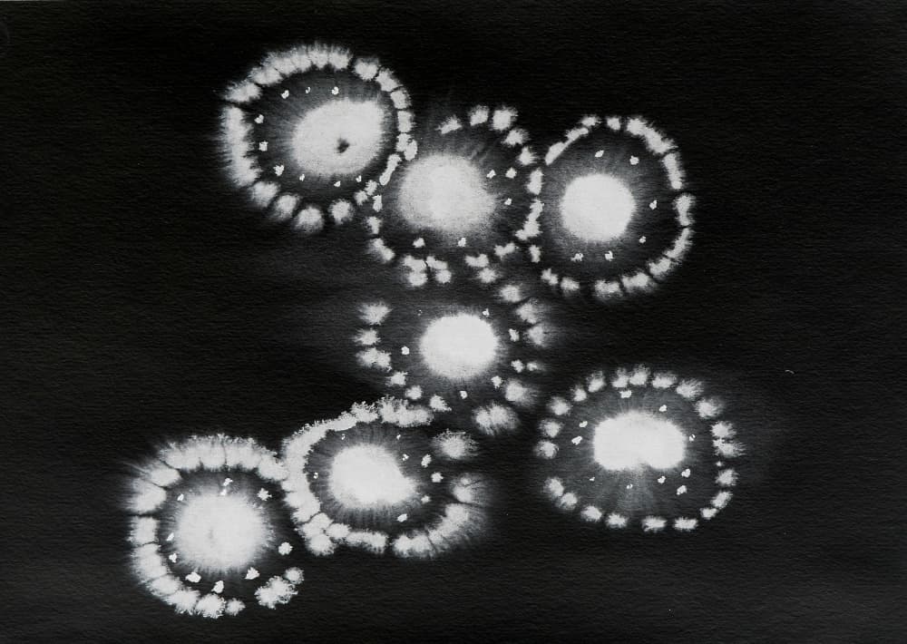 Abstract Cellular Forms by Santhosh ch — canvas wall art