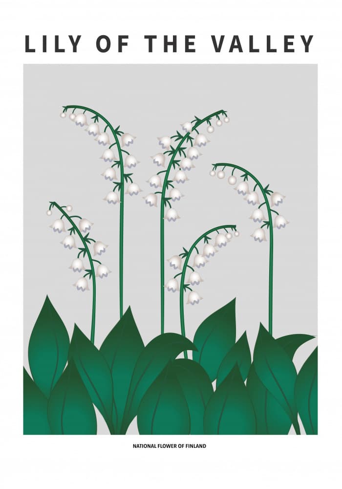 Lily Of The Valley by Paperago — canvas wall art