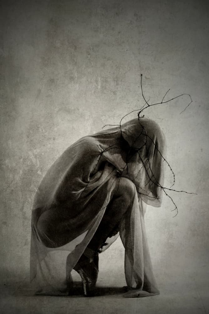 Shrouded Dancer Thorns by Olga Mest — canvas wall art
