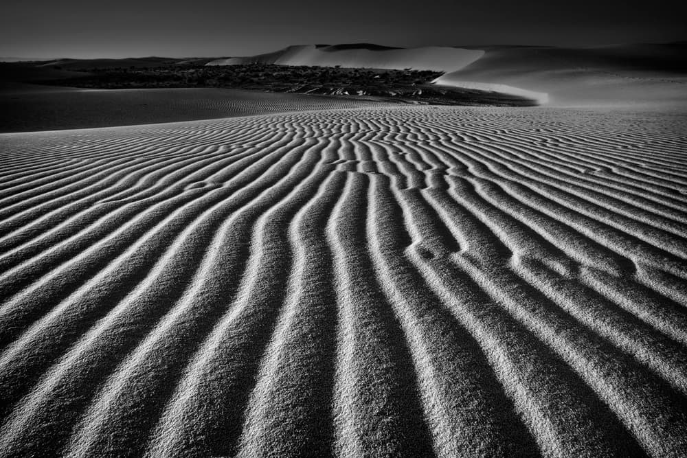 Desert Sand Waves by Lydia Jacobs — canvas wall art