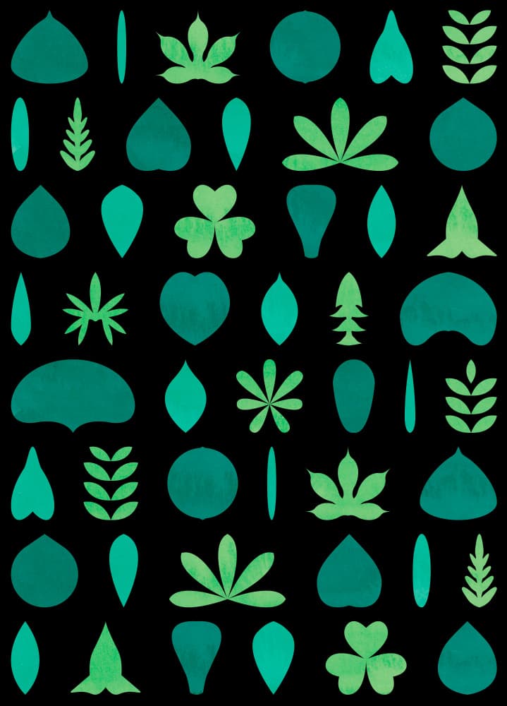 Abstract Botanical Shapes by kathrinmay — canvas wall art