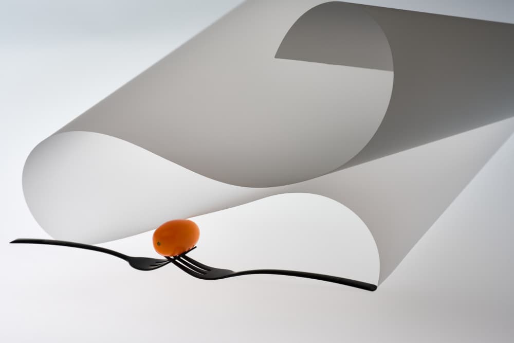 Balanced Kumquat Forks by Drazen Sokac — canvas wall art