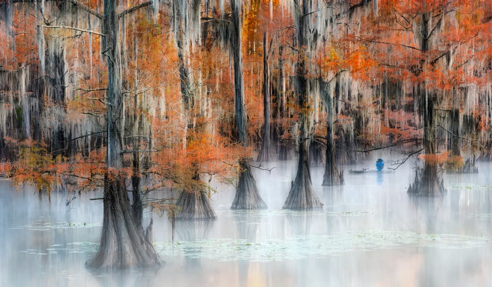 Misty Autumn Cypress Swamp by Alex Li — canvas wall art