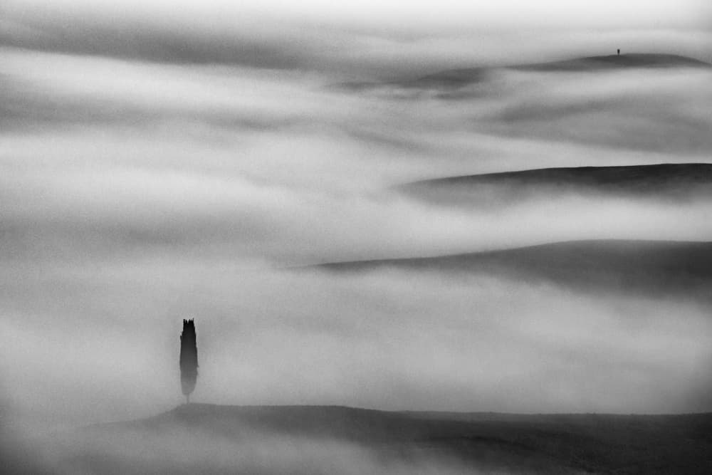 Lone Tree Morning Mist by Jure Kravanja — canvas wall art