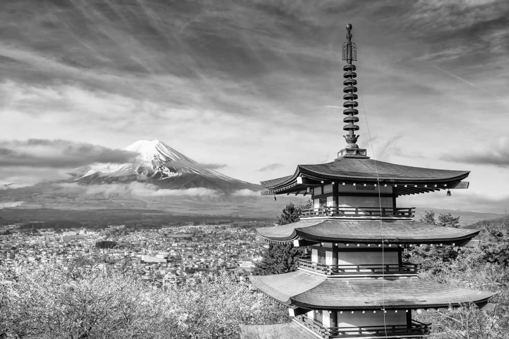 Fuji Pagoda Spring Blossoms by Melanie Viola — canvas wall art