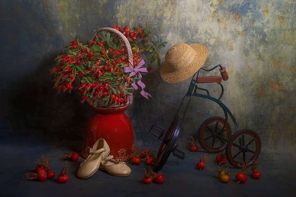 Autumn Rose Hips and Tricycle by Lydia Jacobs — canvas wall art