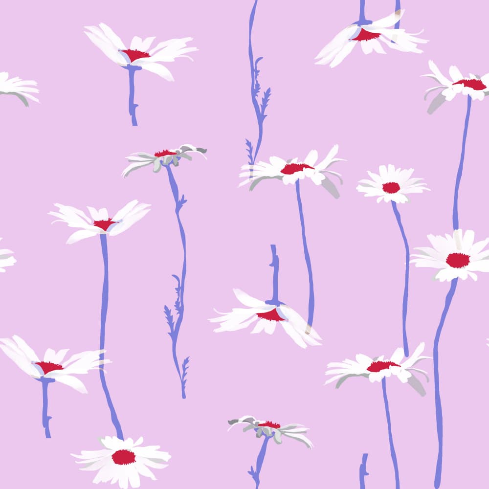 Delicate Lavender Daisies by Charlotte Trudgett — canvas wall art