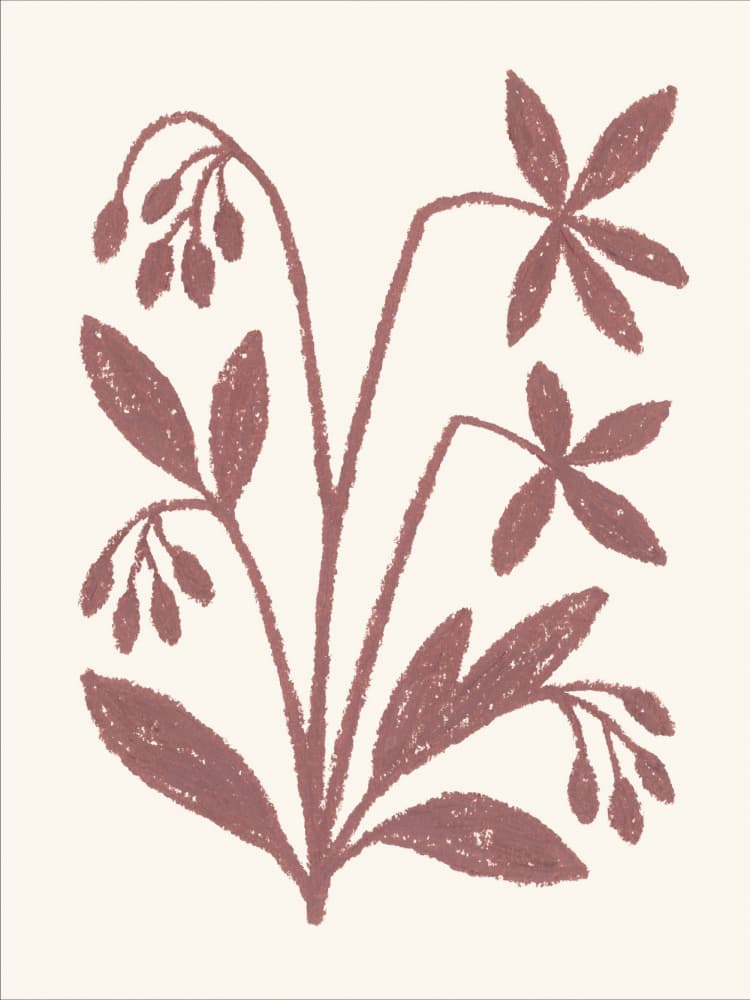 Organic Plant Sketch by Silvia Visscher — canvas wall art