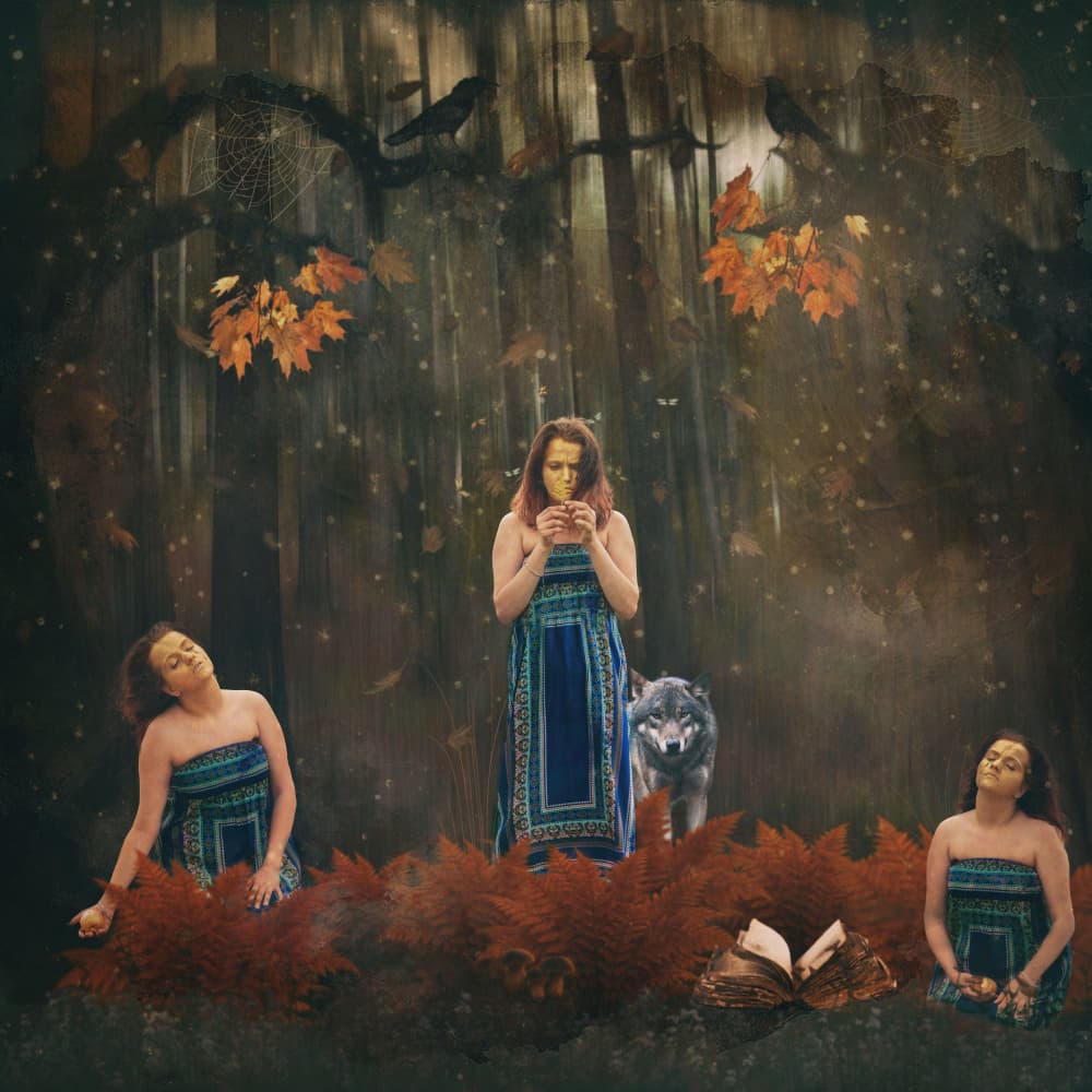 Mystical Forest Woman Wolf by Ewa Całkosińska-Kajzer — canvas wall art