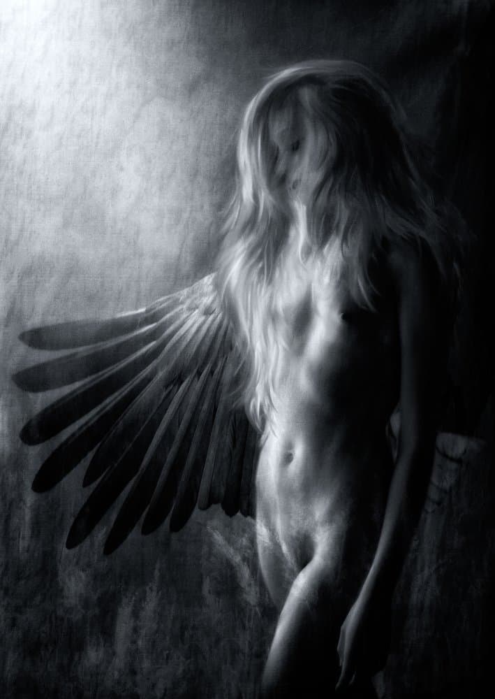 Dark Winged Angel by Charlaine Gerber — canvas wall art