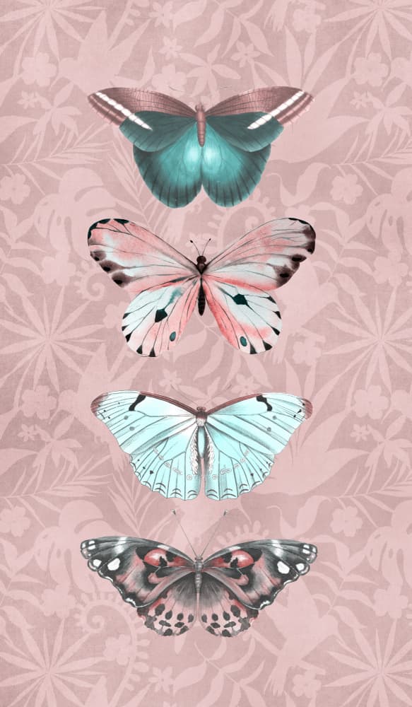 Delicate Butterfly Collection by Andrea Haase — canvas wall art
