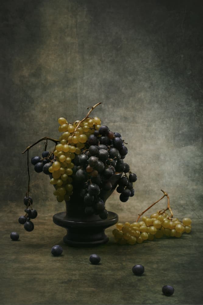Moody Grapes Still Life by Brig Barkow — canvas wall art
