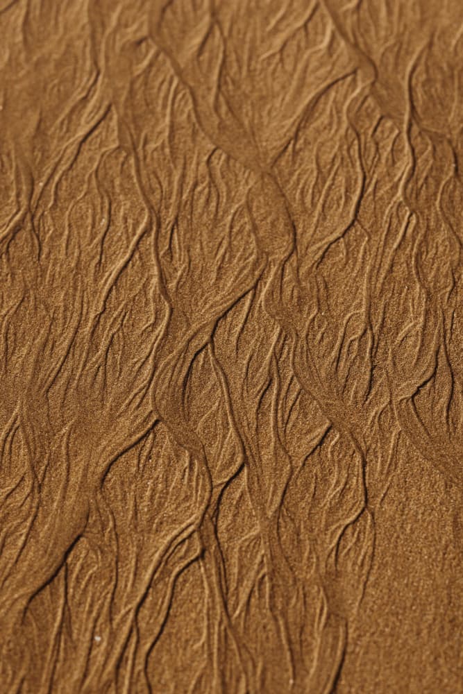 Golden Sand Ripples by Javier Pardina — canvas wall art