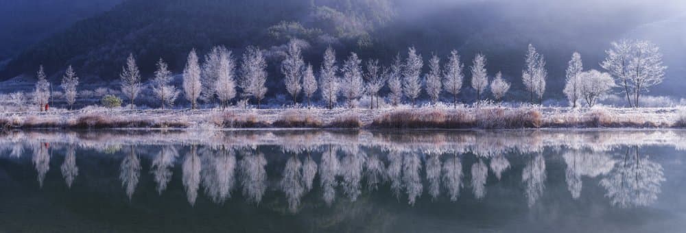 Serene Winter Lake Reflection by Tiger Seo — canvas wall art