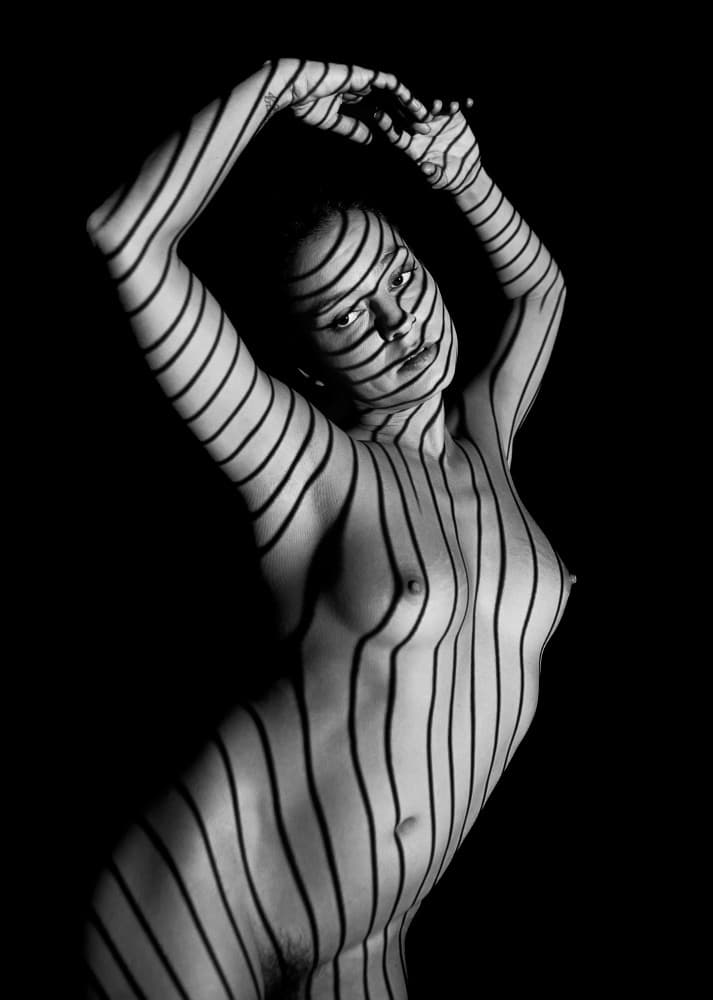 Shadow Stripes Body by Joan Gil Raga — canvas wall art