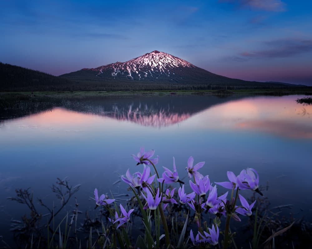 Twilight Mountain Lake Flowers by Dennis Zhang — canvas wall art