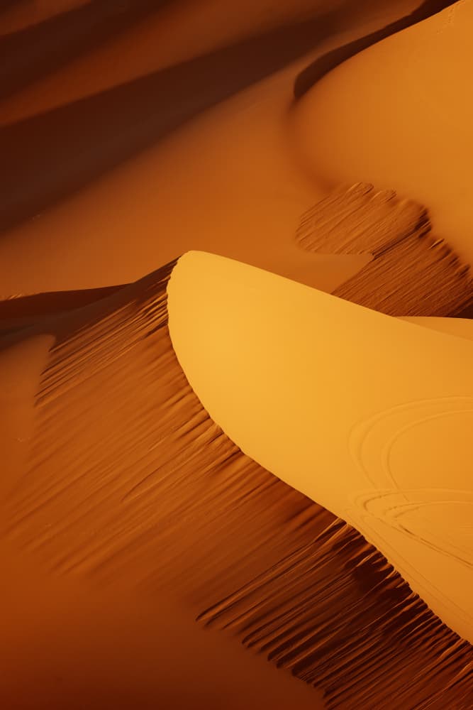 Golden Desert Dunes by Gina Buliga — canvas wall art