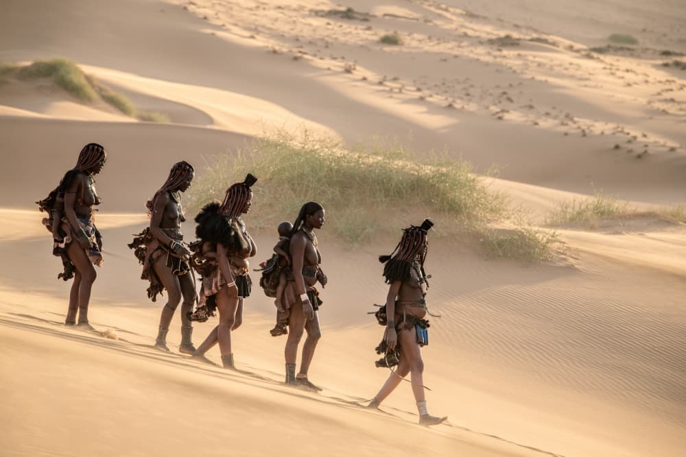 African Desert Journey by Trevor Cole — canvas wall art